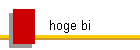 hoge bi