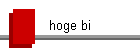 hoge bi