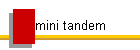 mini tandem